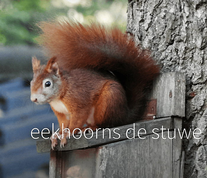 Iedereen bedankt voor de noten - Foto: Eigen geleverde foto