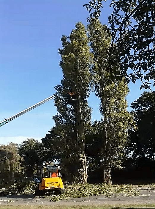 Werkzaamheden vijver Thomas à Kempislaan - Foto: Eigen geleverde foto
