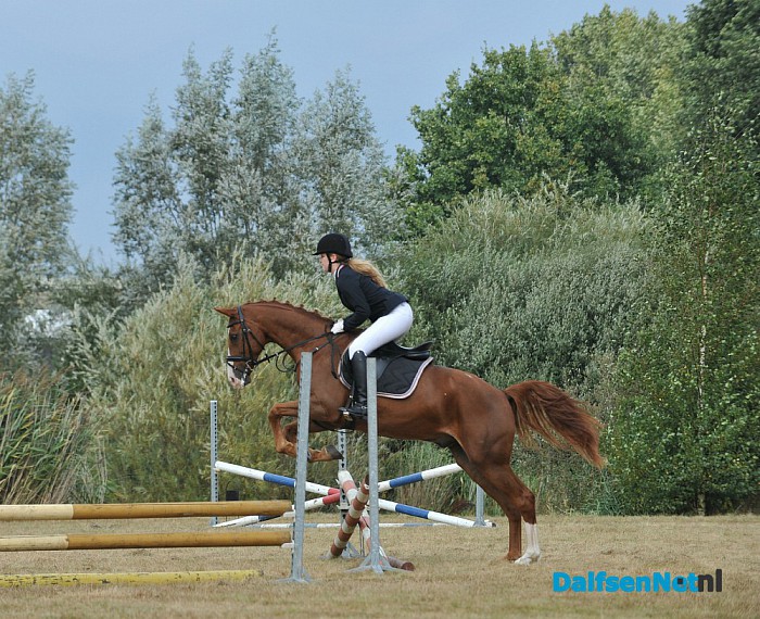 Clubkampioenschap Ponyclub Dalfsen - Foto: Johan Bokma