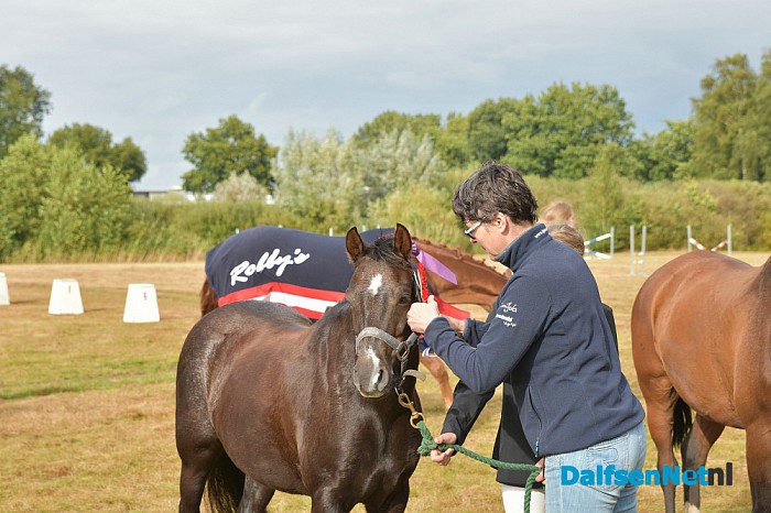 Clubkampioenschap Ponyclub Dalfsen - Foto: Johan Bokma