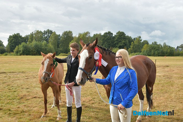 Clubkampioenschap Ponyclub Dalfsen - Foto: Johan Bokma