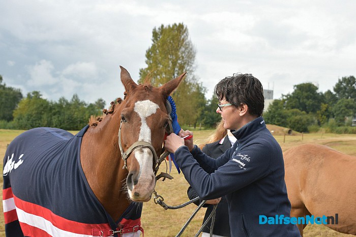 Clubkampioenschap Ponyclub Dalfsen - Foto: Johan Bokma