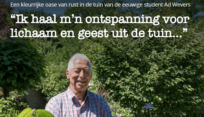 De rustgevende kleurenoase van Ad Wevers - Foto: Thomas Klomp