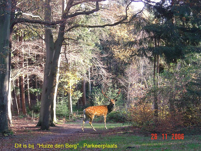 Bij huize Den Berg - Foto: Eigen geleverde foto