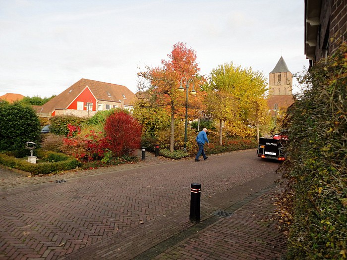 Dalfsen staat in bloei - Foto: Eigen geleverde foto