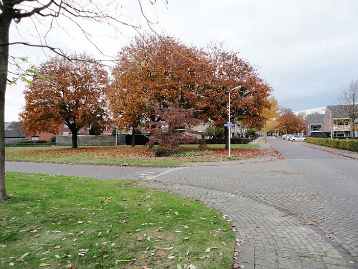 Dalfsen staat in bloei - Foto: Eigen geleverde foto