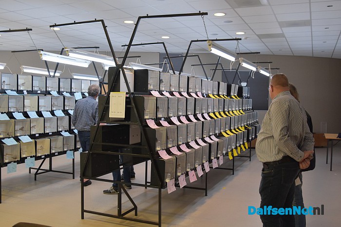 Trefkoele Plus Dalfsen een bezoekje waard - Foto: Johan Bokma