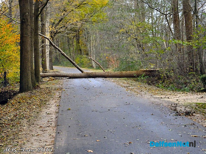 Stormschades in de regio Dalfsen - Foto: H.G. Foto