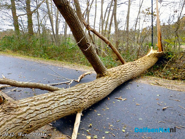 Stormschades in de regio Dalfsen - Foto: H.G. Foto