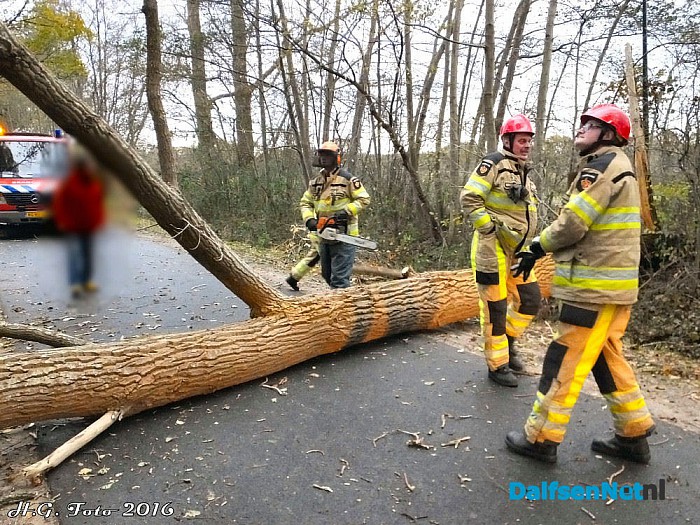 Stormschades in de regio Dalfsen - Foto: H.G. Foto