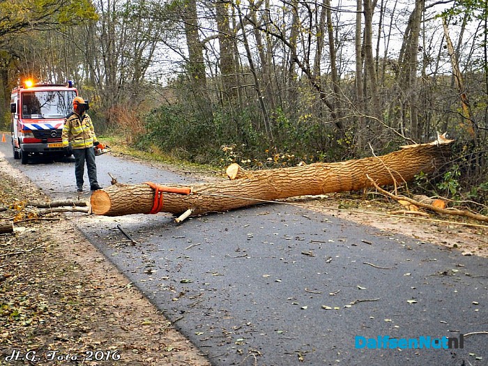 Stormschades in de regio Dalfsen - Foto: H.G. Foto