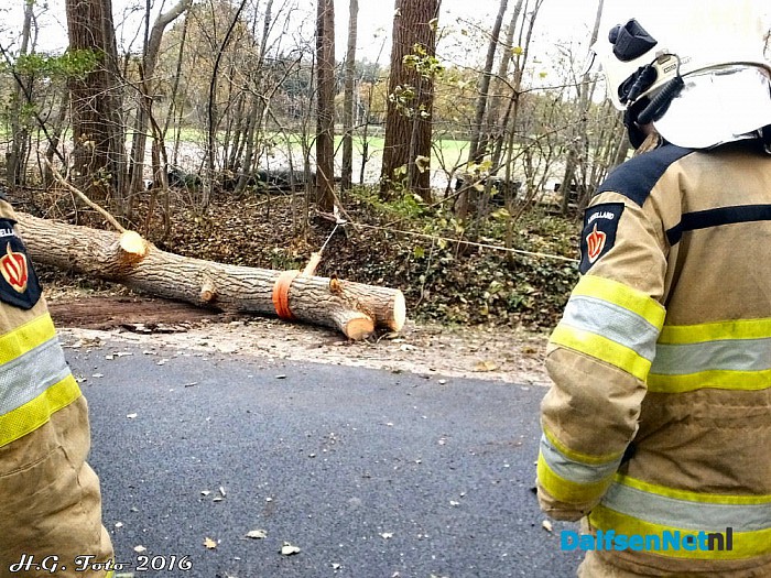 Stormschades in de regio Dalfsen - Foto: H.G. Foto