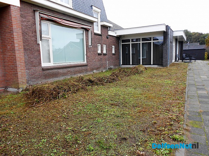 De prachtige bloemen zijn uitgebloeid en gemaaid