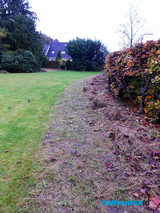De prachtige bloemen zijn uitgebloeid en gemaaid
