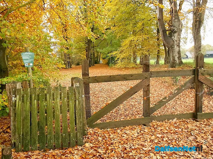 Het allermooiste stukje natuur van Dalfsen