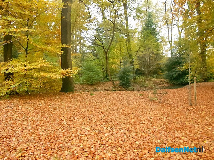 Het allermooiste stukje natuur van Dalfsen