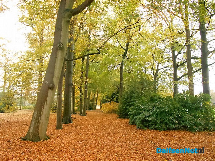 Het allermooiste stukje natuur van Dalfsen