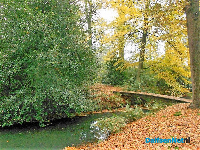 Het allermooiste stukje natuur van Dalfsen