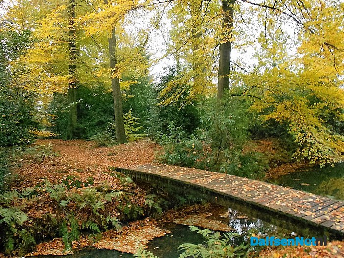 Het allermooiste stukje natuur van Dalfsen