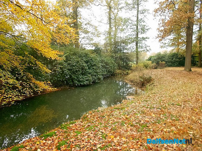 Het allermooiste stukje natuur van Dalfsen