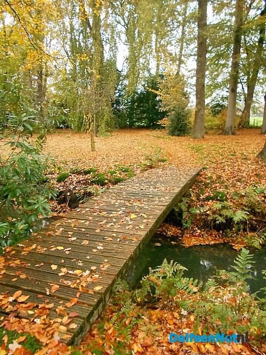 Het allermooiste stukje natuur van Dalfsen