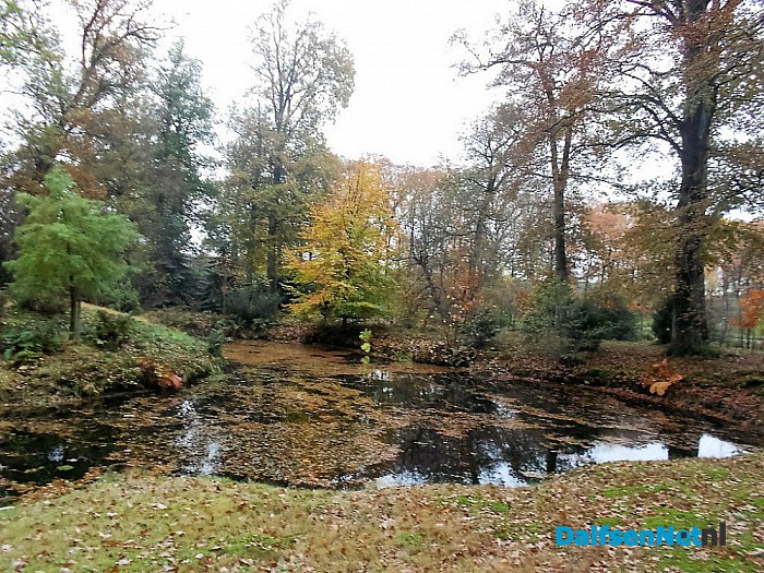 Het allermooiste stukje natuur van Dalfsen