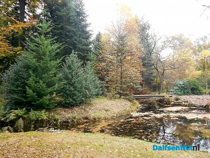 Het allermooiste stukje natuur van Dalfsen