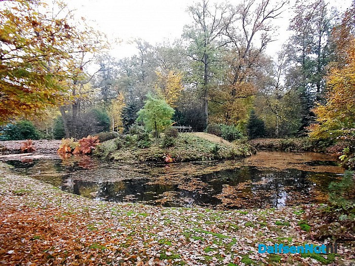Het allermooiste stukje natuur van Dalfsen