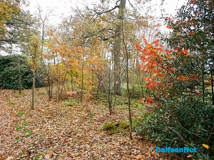 Het allermooiste stukje natuur van Dalfsen