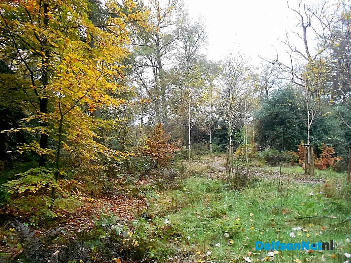 Het allermooiste stukje natuur van Dalfsen
