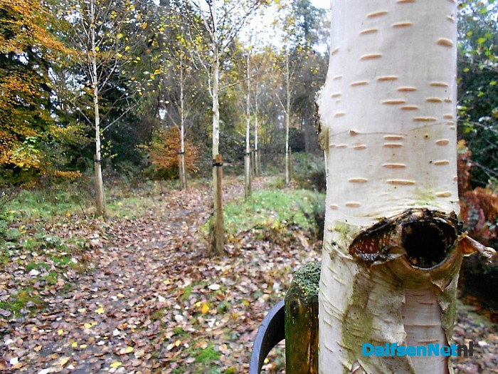 Het allermooiste stukje natuur van Dalfsen
