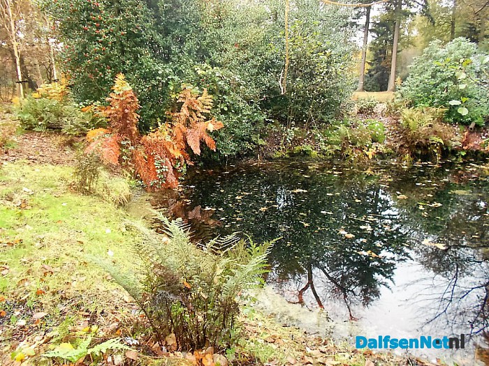 Het allermooiste stukje natuur van Dalfsen