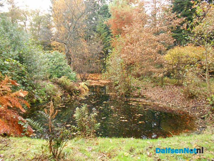 Het allermooiste stukje natuur van Dalfsen