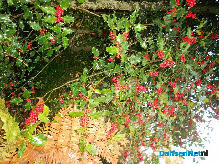 Het allermooiste stukje natuur van Dalfsen