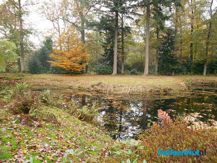Het allermooiste stukje natuur van Dalfsen