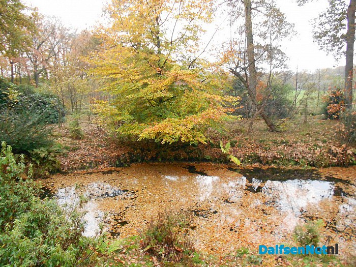 Het allermooiste stukje natuur van Dalfsen