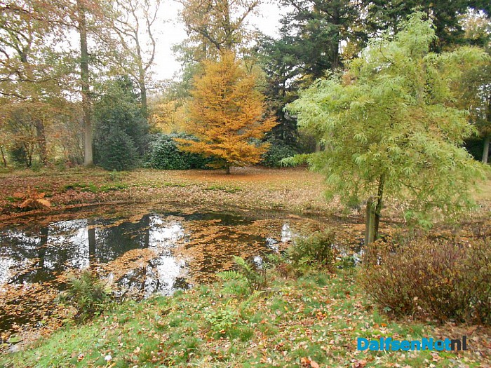 Het allermooiste stukje natuur van Dalfsen