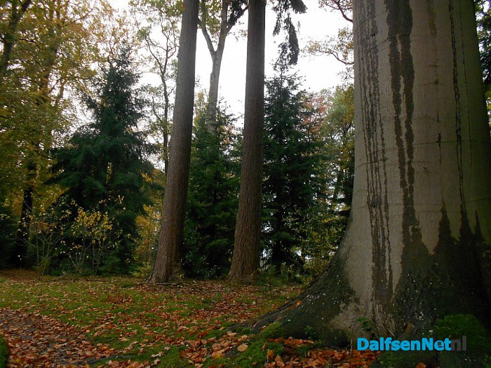 Het allermooiste stukje natuur van Dalfsen