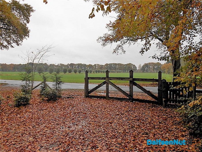 Het allermooiste stukje natuur van Dalfsen