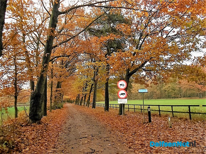 Nog een beetje herfst