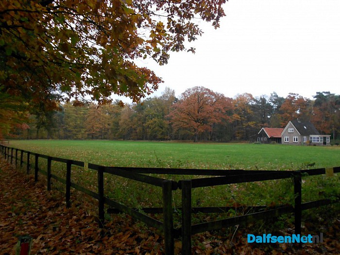 Nog een beetje herfst
