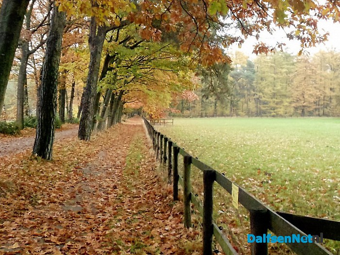Nog een beetje herfst