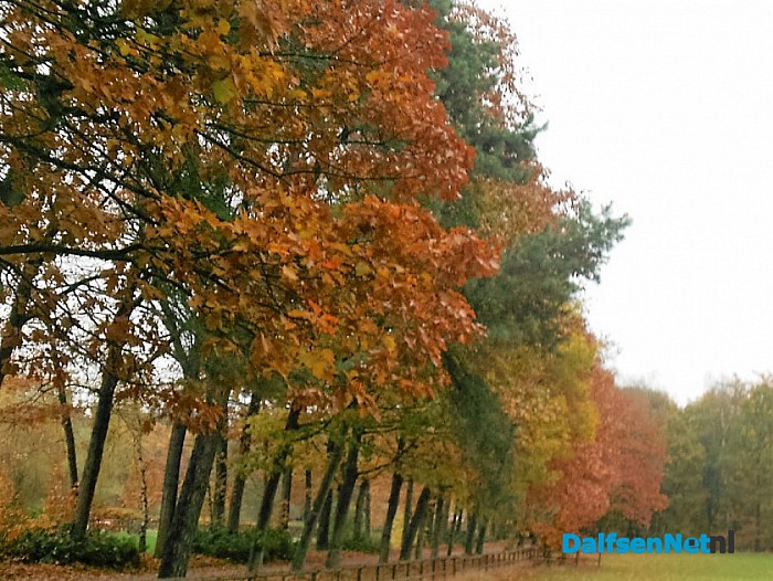 Nog een beetje herfst