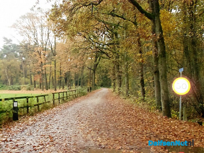 Nog een beetje herfst