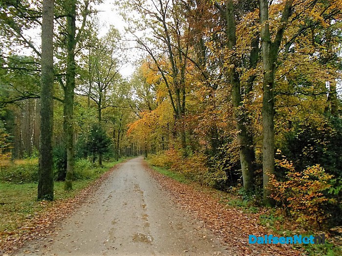 Nog een beetje herfst