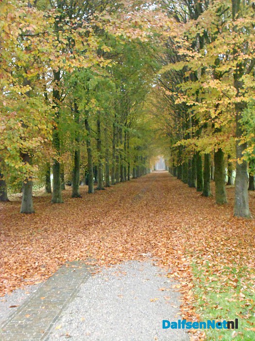 Aalshorsterpad
