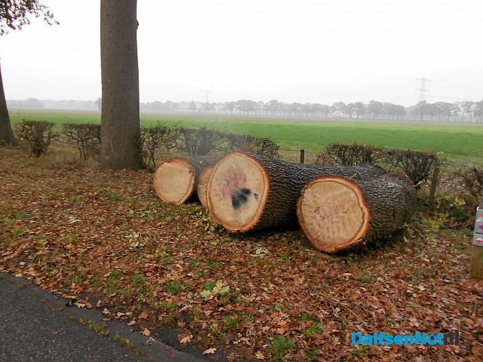 Onderhoud groen buitengebied