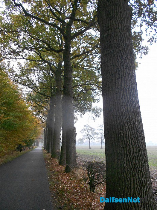 Onderhoud groen buitengebied