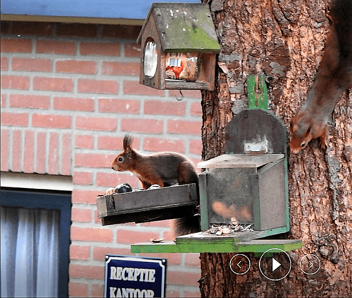 Het verhaal gaat verder - Foto: Eigen geleverde foto