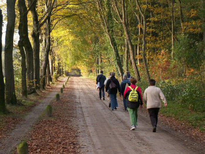 Wandelcoaching voor mantelzorgers in rouw - Foto: Eigen geleverde foto